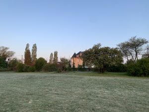 IMG_5136