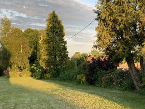 IMG_5624