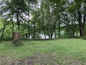 IMG_5667